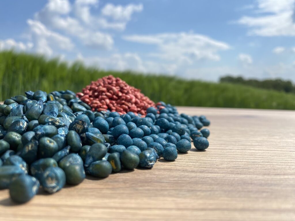 seed forward